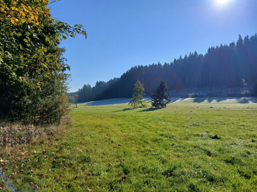 20251003_100441-1024x768 Kontakt